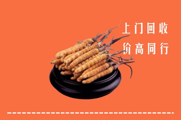 高价求购：巴宜区回收散虫草